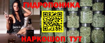 jwh Тулун