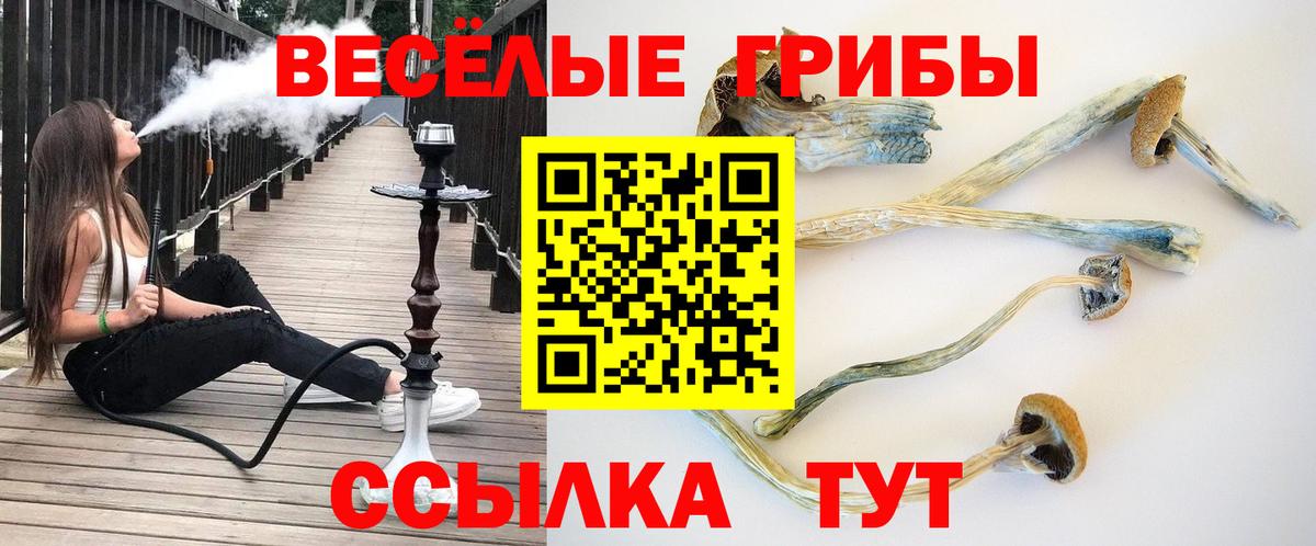 Галлюциногенные грибы Cubensis  Вход с VPN  Псилоцибиновые грибы Psilocybine cubensis  Советский 